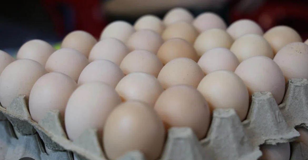 Eggs Size 7