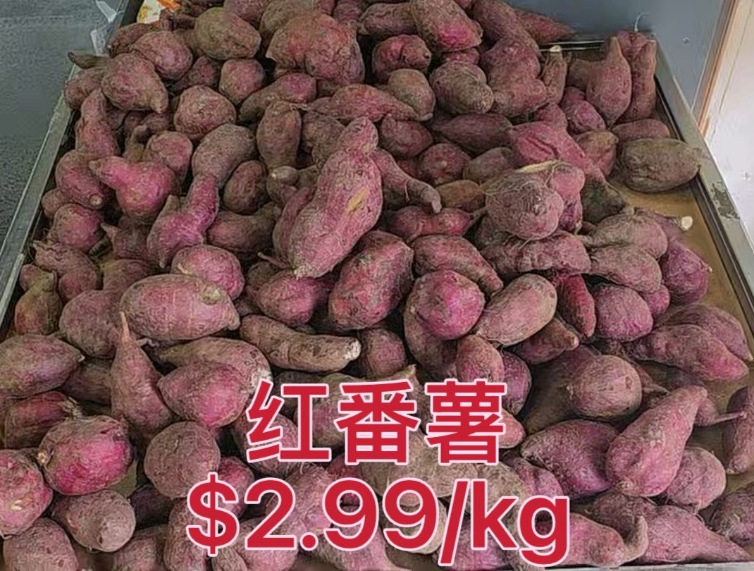 Red Sweet Potato
