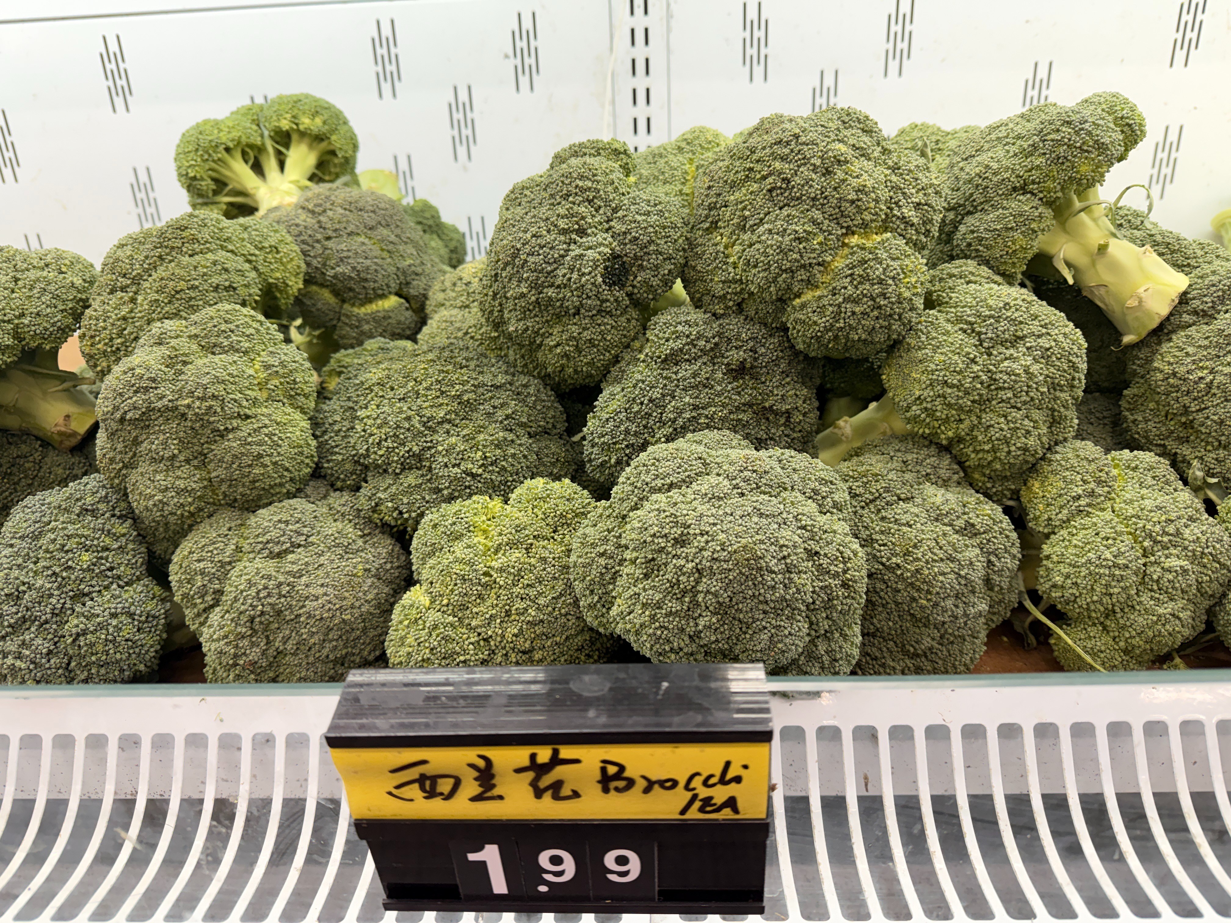 Broccoli
