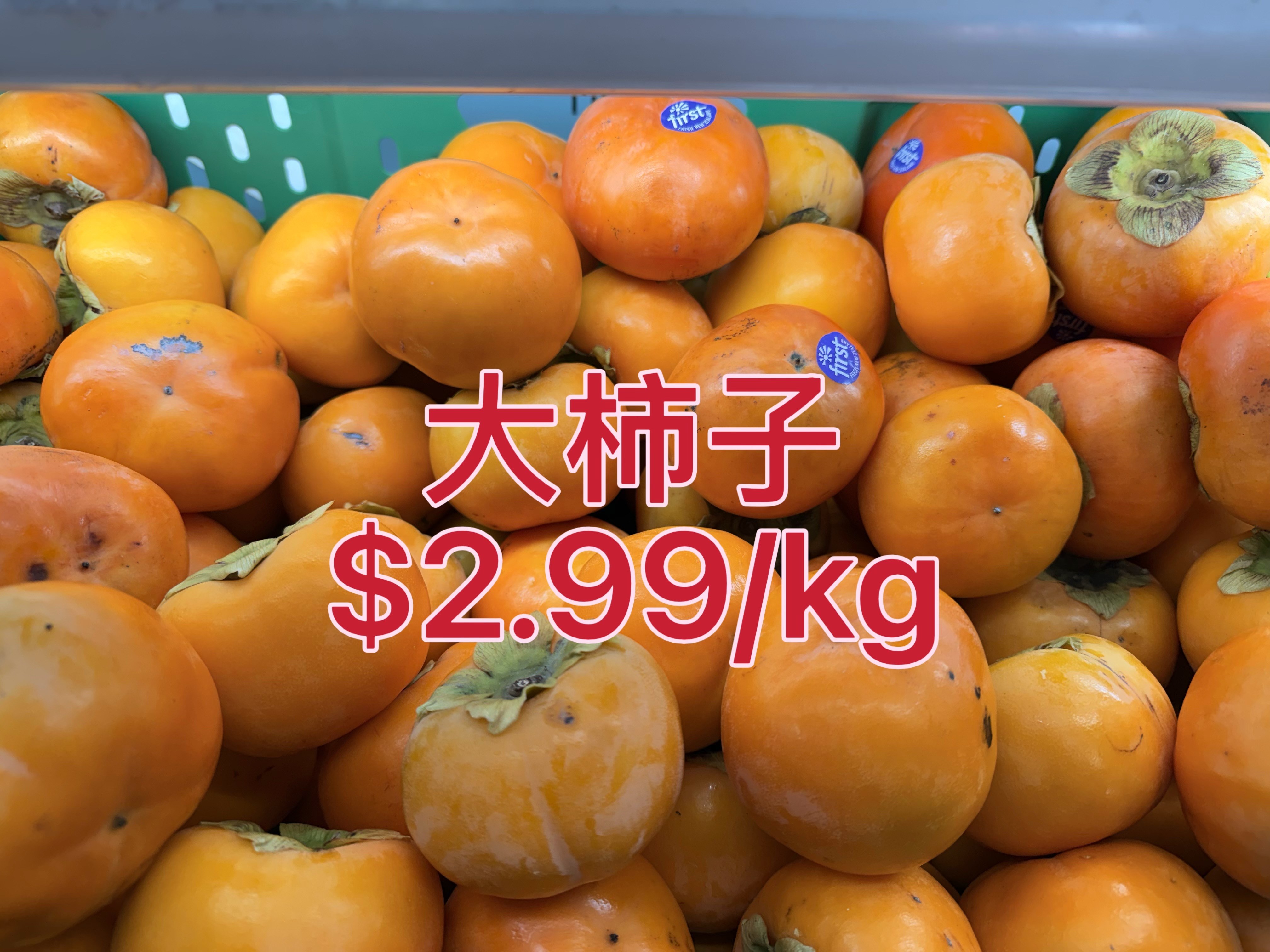 Large Persimmon