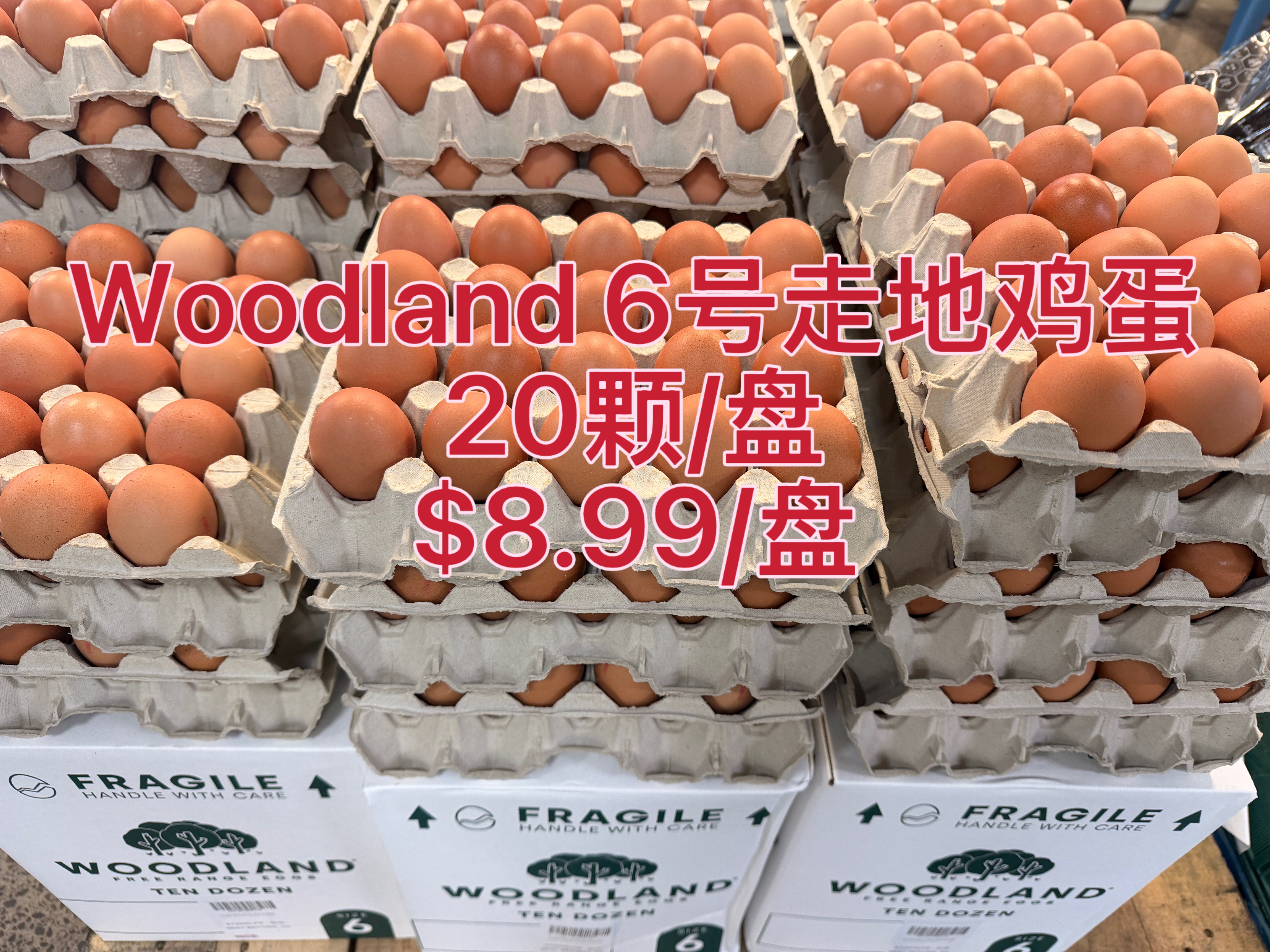Woodland Free Range Eggs 20 Pack