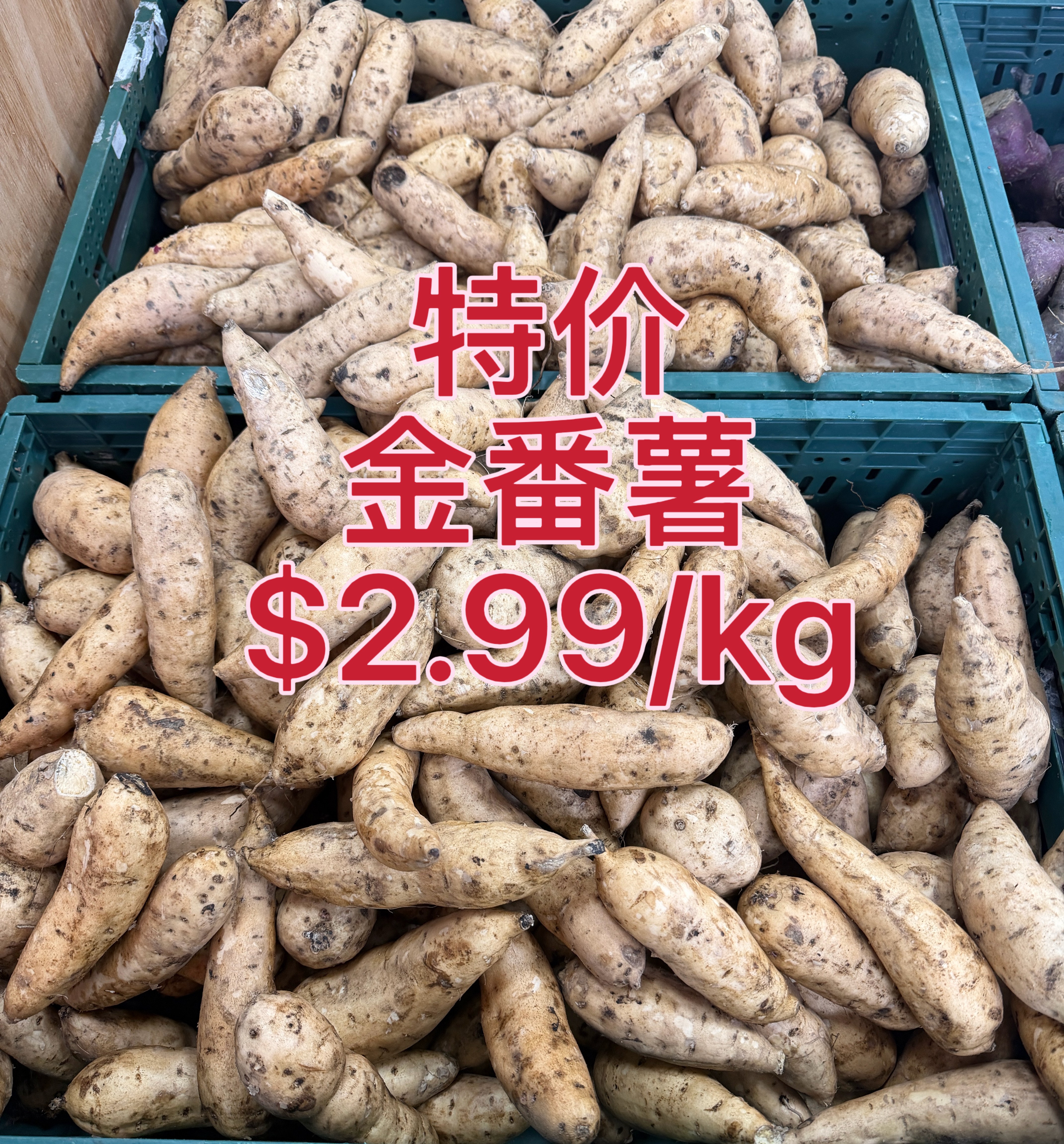 Special Gold Sweet Potato